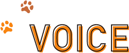 Voice
